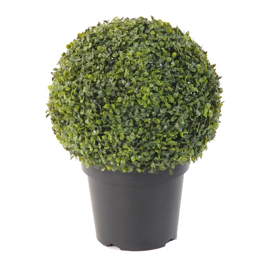 BOXWOOD BALL IN POT