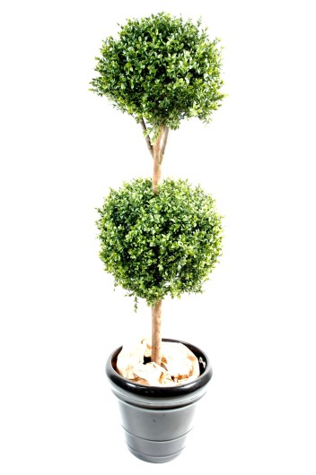 BOXWOOD DOUBLE BALL STEM NEW