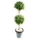 BOXWOOD DOUBLE BALL STEM NEW