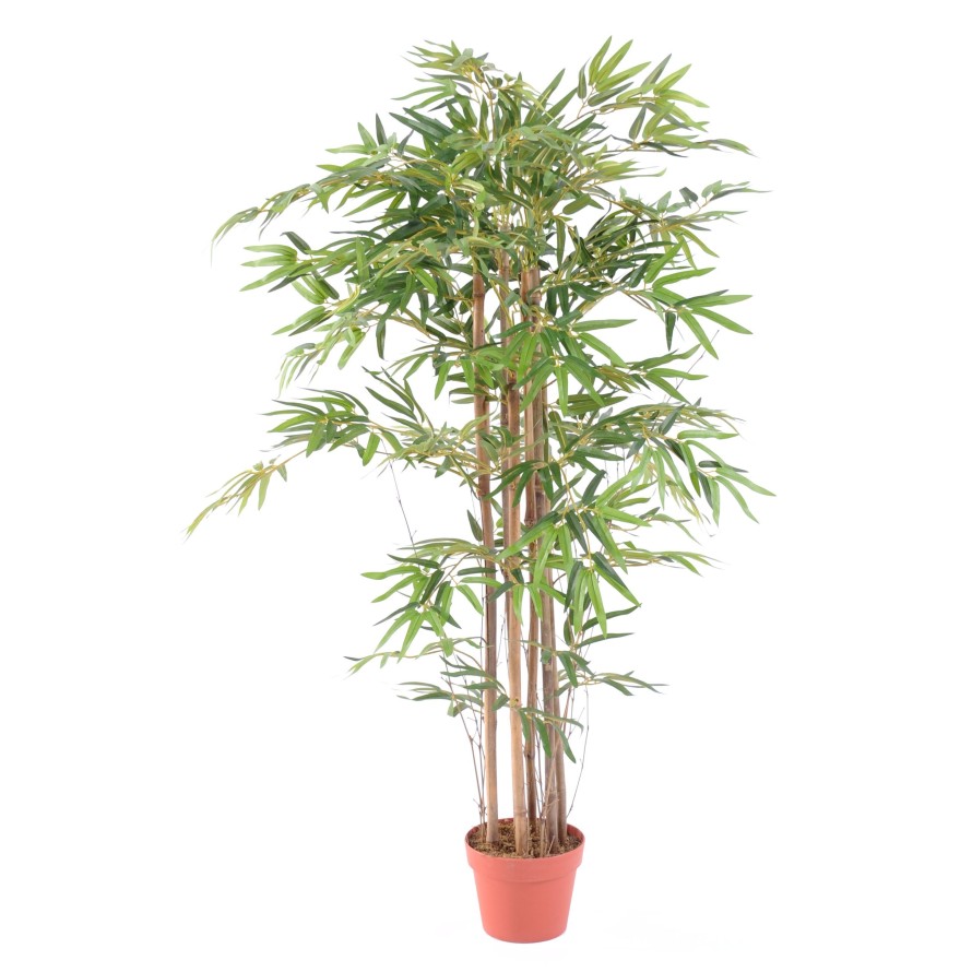 BAMBOO ORIENTAL ECO 2