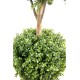 BOXWOOD DOUBLE BALL STEM NEW