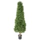 BOXWOOD TOPIARY NEW