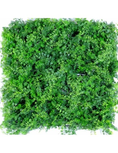 GREEN WALL MIXED FERN...