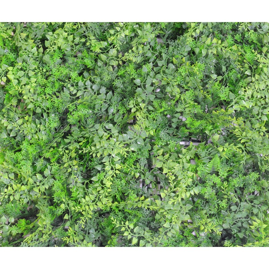 GREEN WALL MIXED FERN BACKGROUND