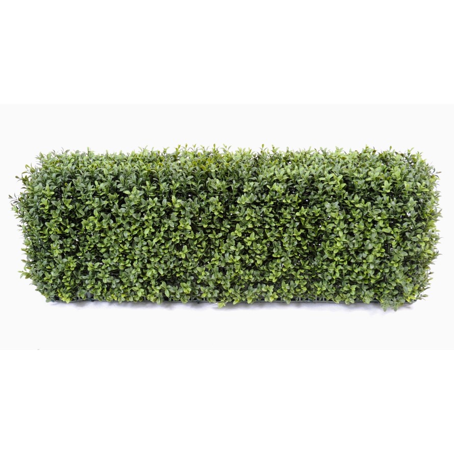 BOXWOOD HEDGE NEW METAL STRUCTURE