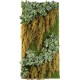 MUR VEGETAL FOUGERE CHUTE