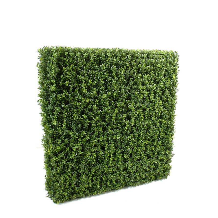 BOXWOOD HEDGE NEW METAL STRUCTURE