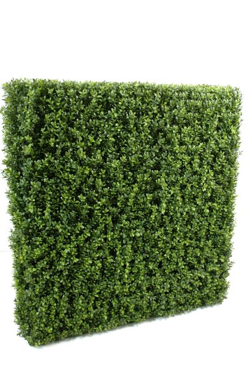 BOXWOOD HEDGE NEW METAL STRUCTURE