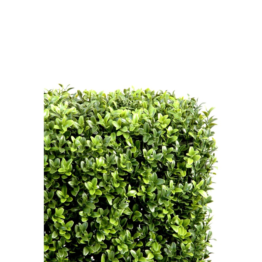 BOXWOOD HEDGE NEW METAL STRUCTURE