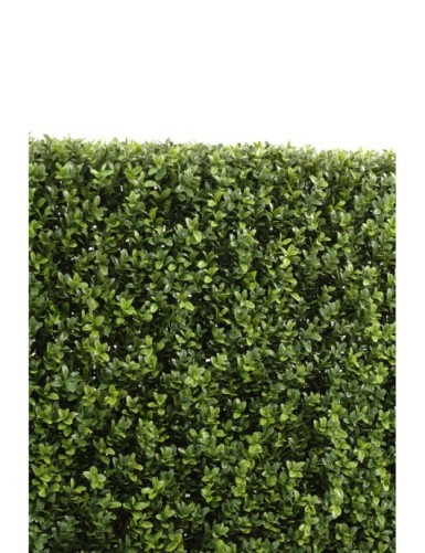 BOXWOOD HEDGE NEW METAL STRUCTURE