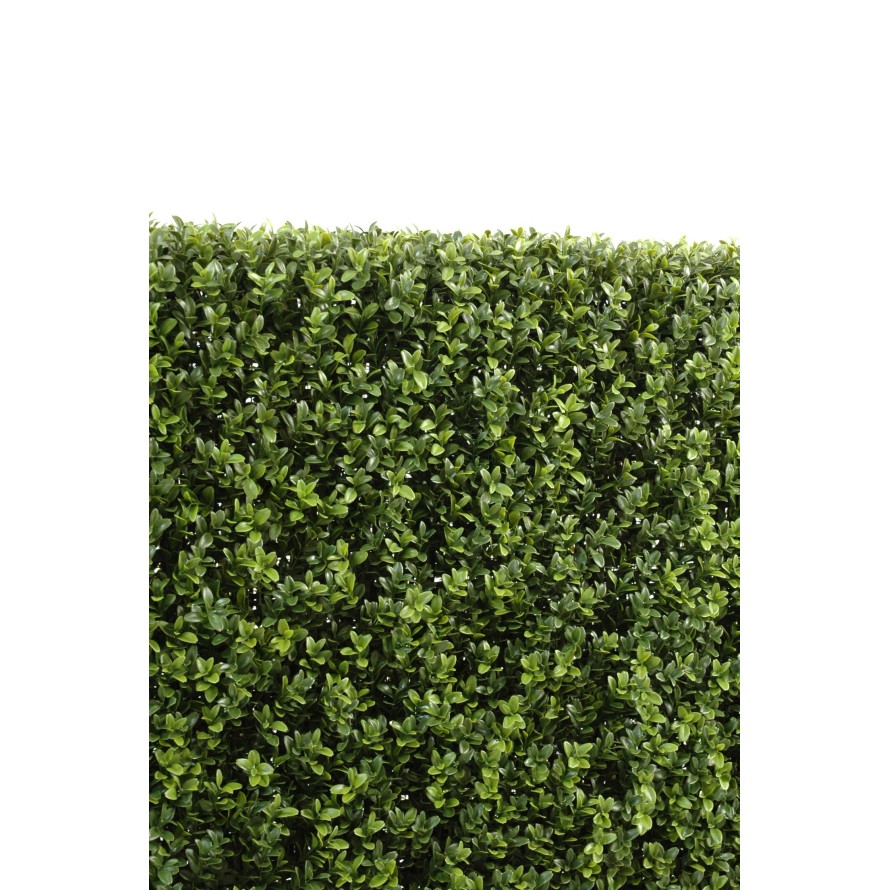 BOXWOOD HEDGE NEW METAL STRUCTURE