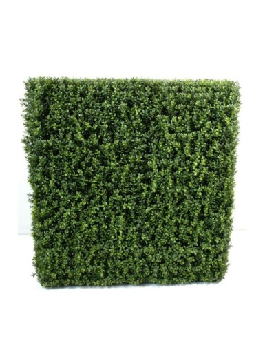 BOXWOOD HEDGE NEW METAL STRUCTURE