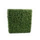 BOXWOOD HEDGE NEW METAL STRUCTURE