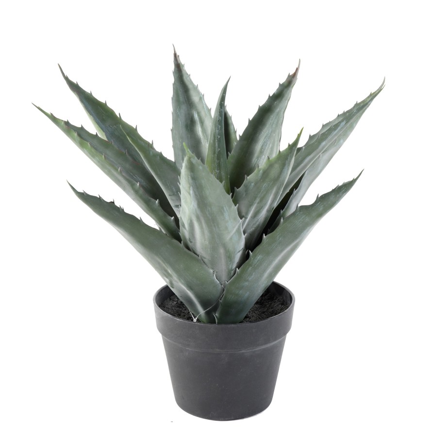 Artificial AGAVE