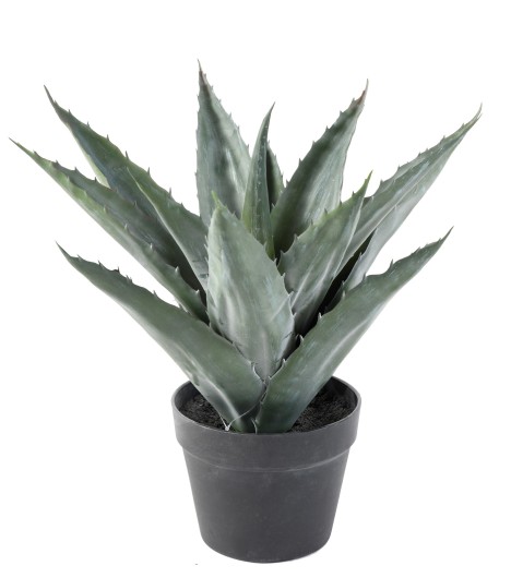 Artificial AGAVE