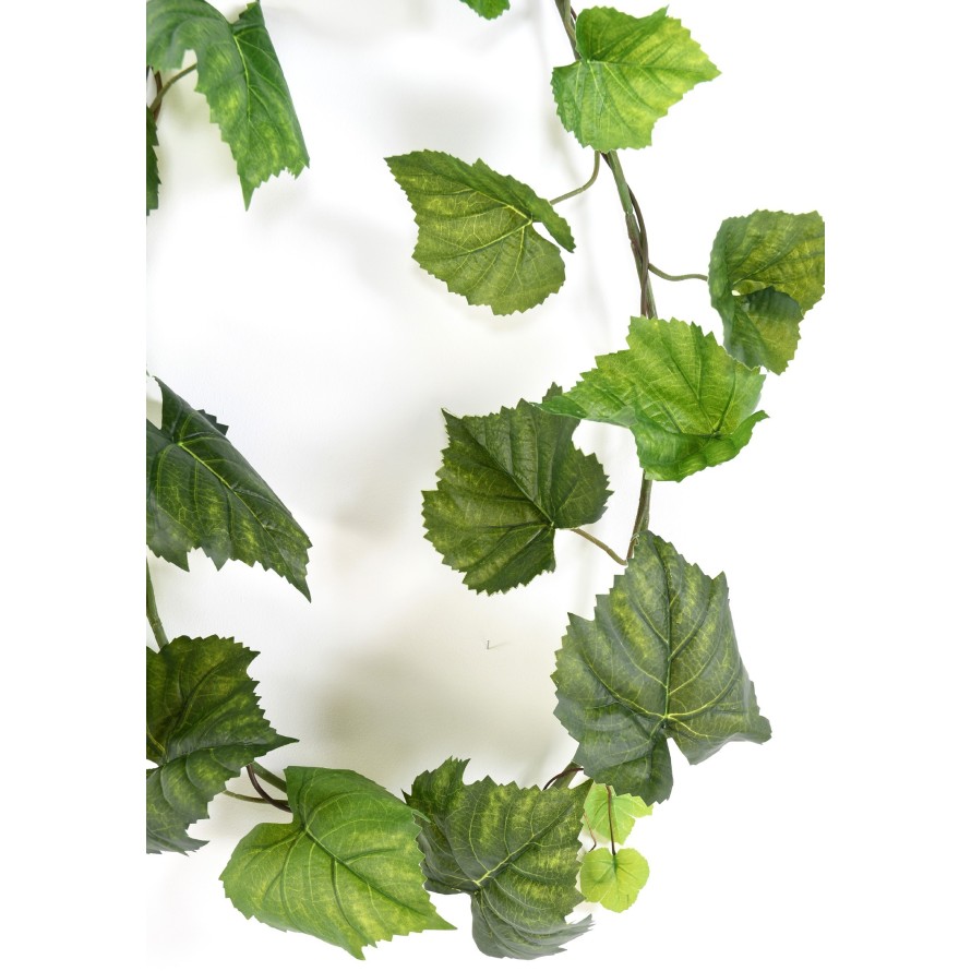 VIRGINIA CREEPER GARLAND