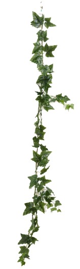 ENGLISH IVY GARLAND *68