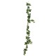 ENGLISH IVY GARLAND *68