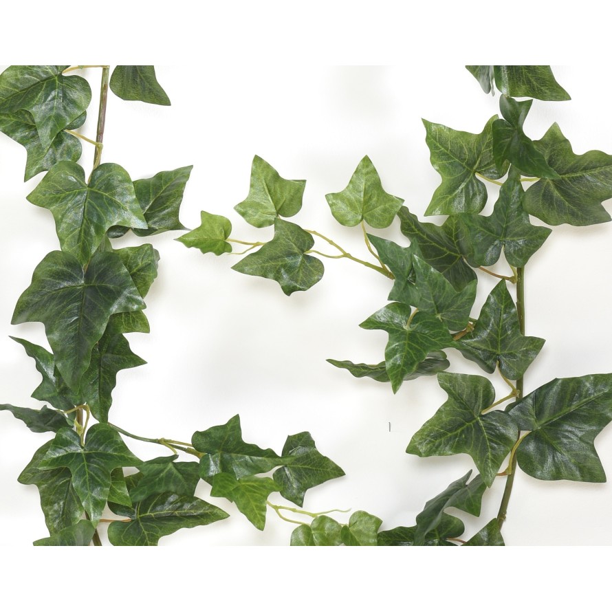 ENGLISH IVY GARLAND *68