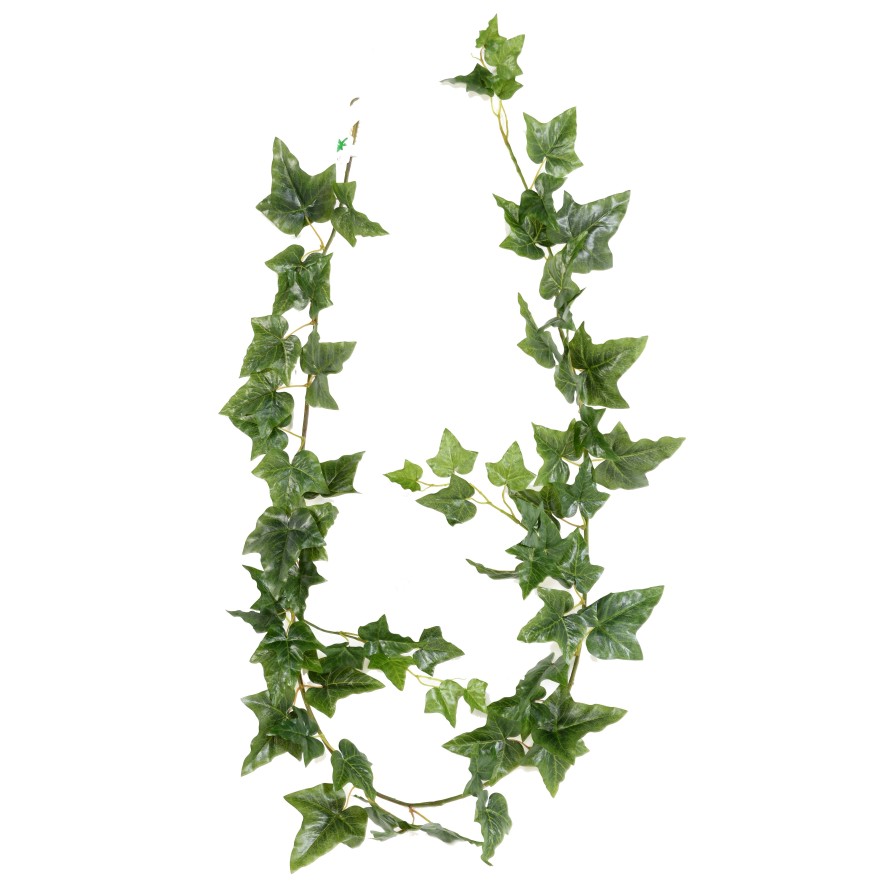 ENGLISH IVY GARLAND *68