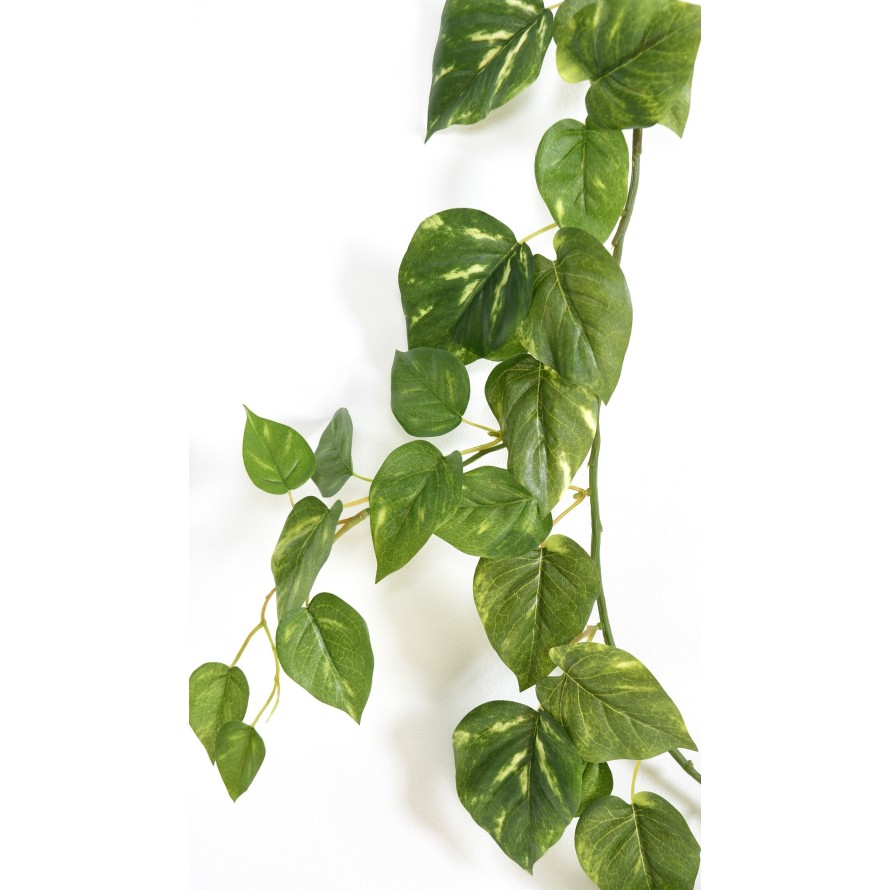 POTHOS GARLAND *68