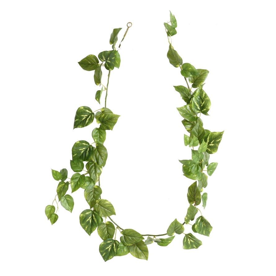 POTHOS GARLAND *68