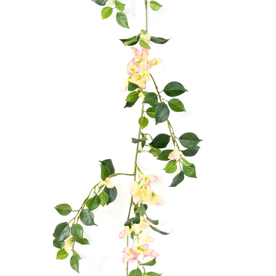 BOUGAINVILLEA GARLAND