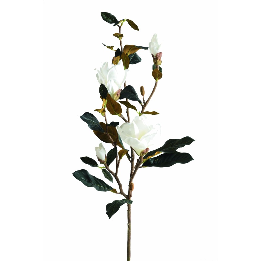 MAGNOLIA