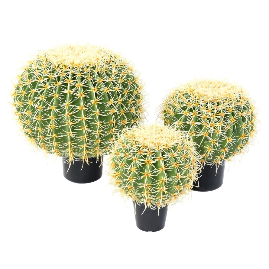 CACTUS BALL