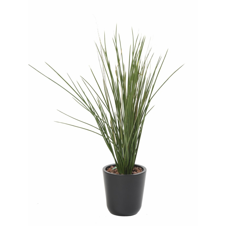 HERBE HONEY GRASS PIQUET UV