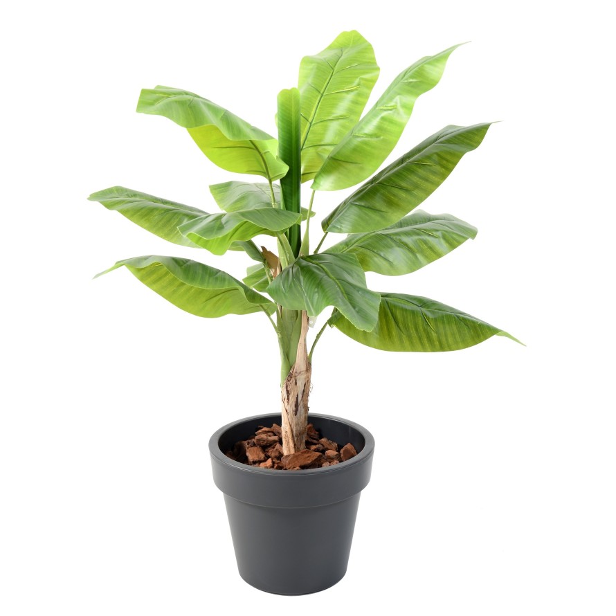 BANANA TREE IN A POT GREEN BASIC TOP PLANTER