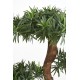 PODOCARPUS CLOUD UV