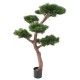 BONSAI UV PINE