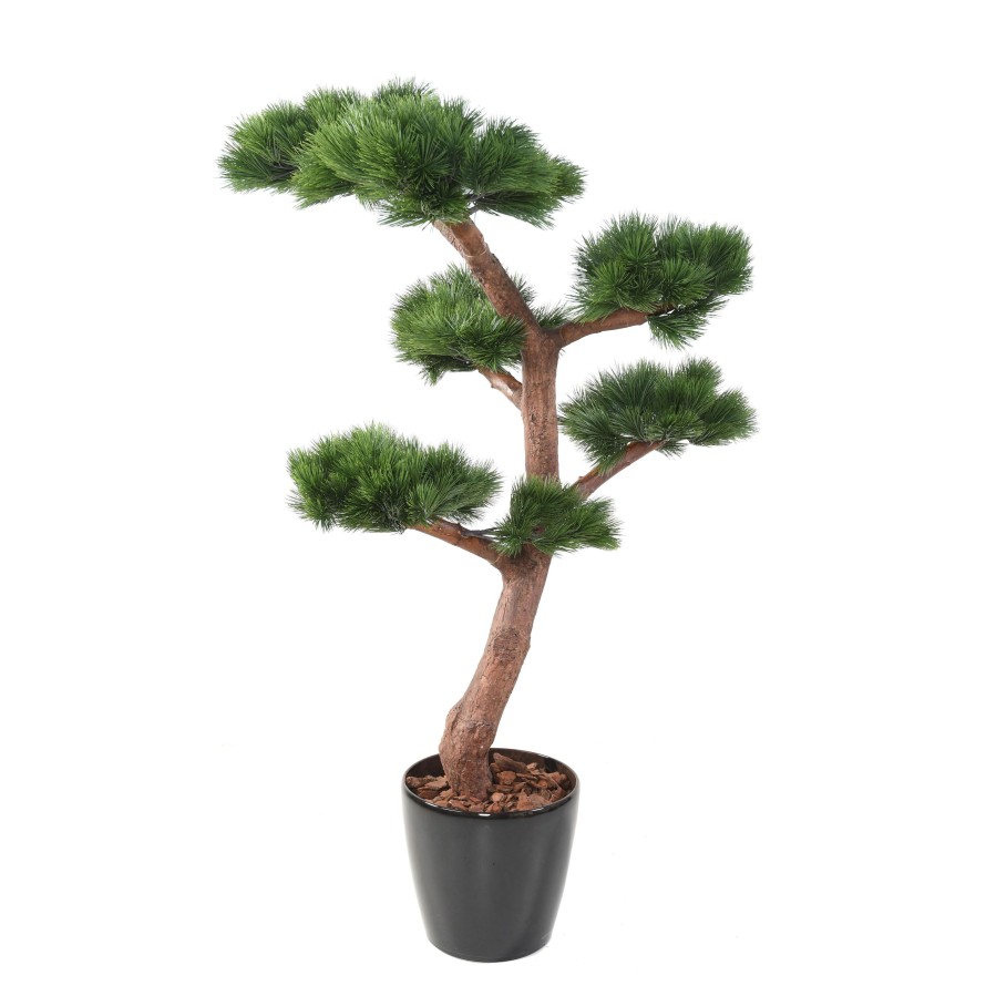 BONSAI UV PINE