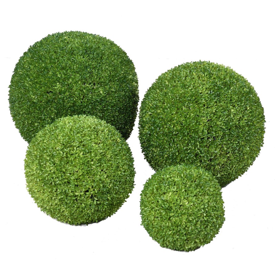 BOXWOOD BALL SEMPERVIRENS