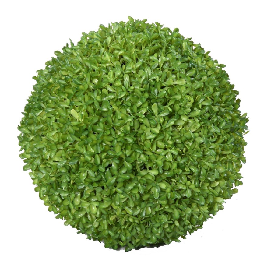 BOXWOOD BALL SEMPERVIRENS