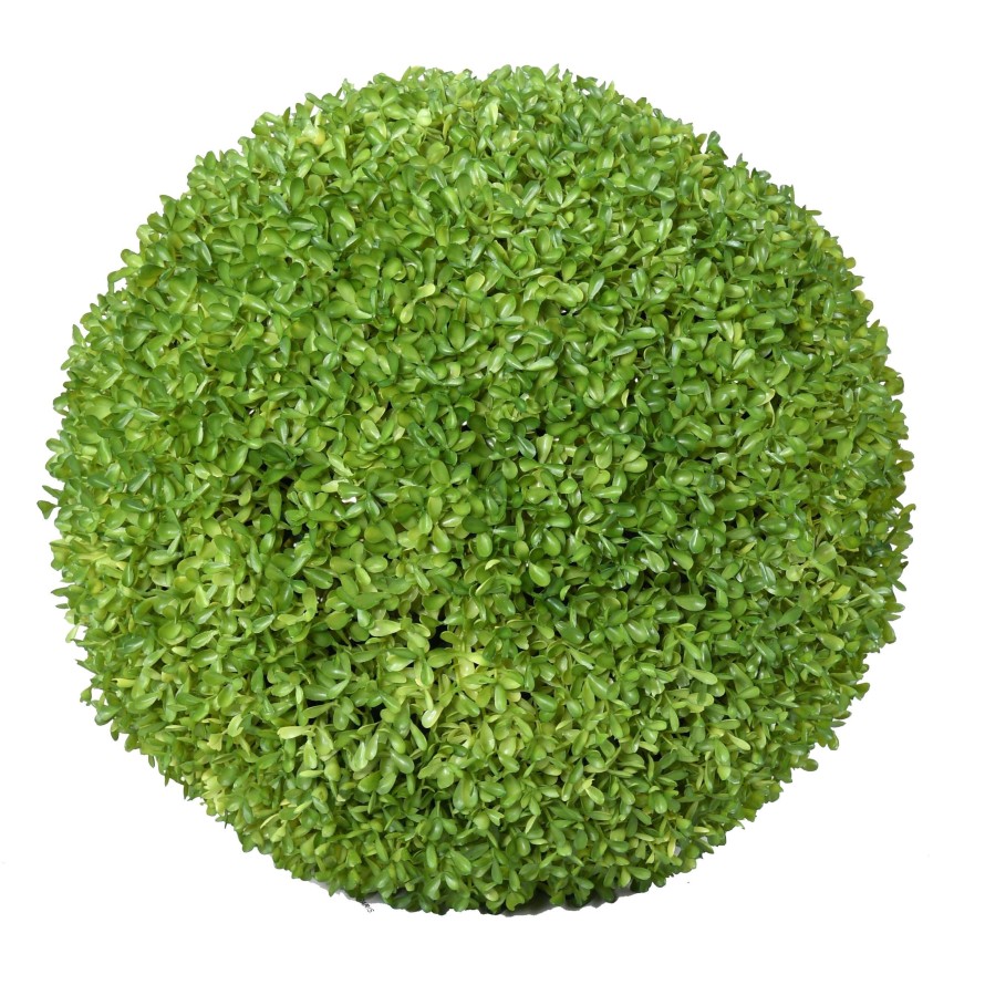 BOXWOOD BALL SEMPERVIRENS