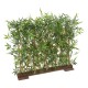 BAMBOO JAPANESE PLAST DENSE HEDGE UV BASE 90