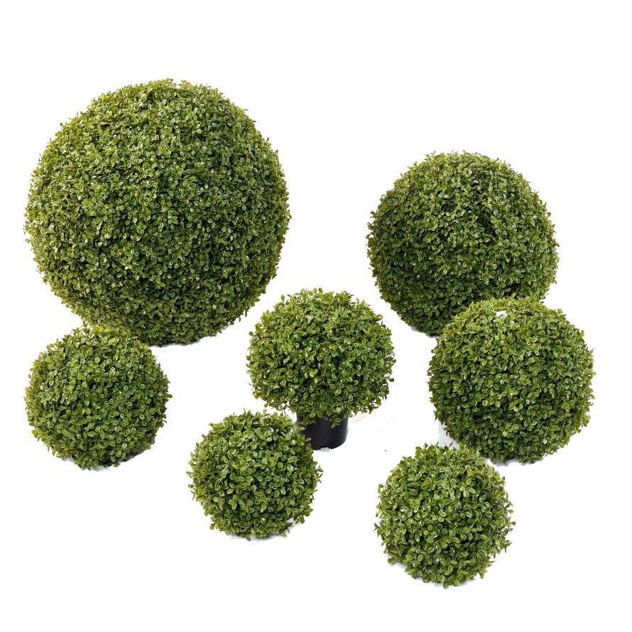 BOXWOOD BALL STK POT (net promo)