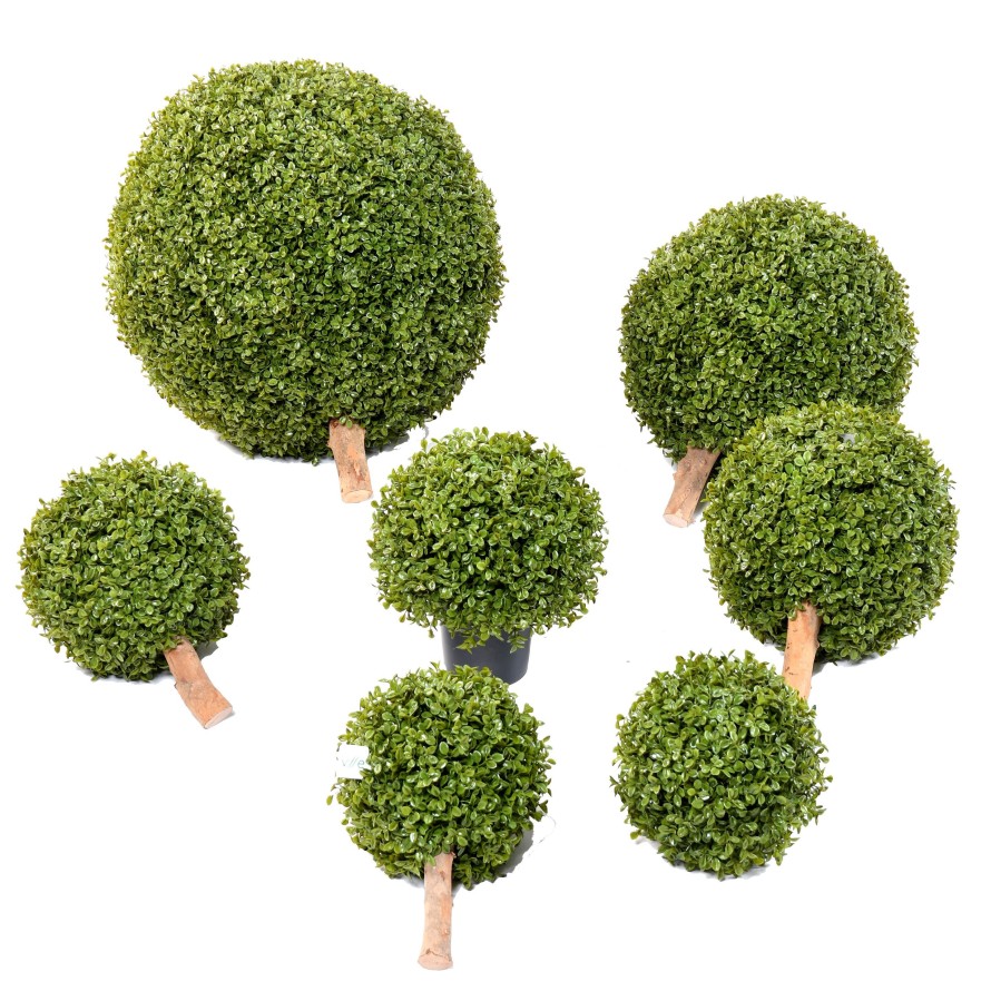 BOXWOOD BALL STK POT (net promo)