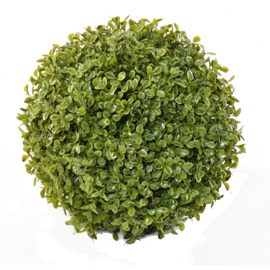 BOXWOOD BALL STK (net promo)