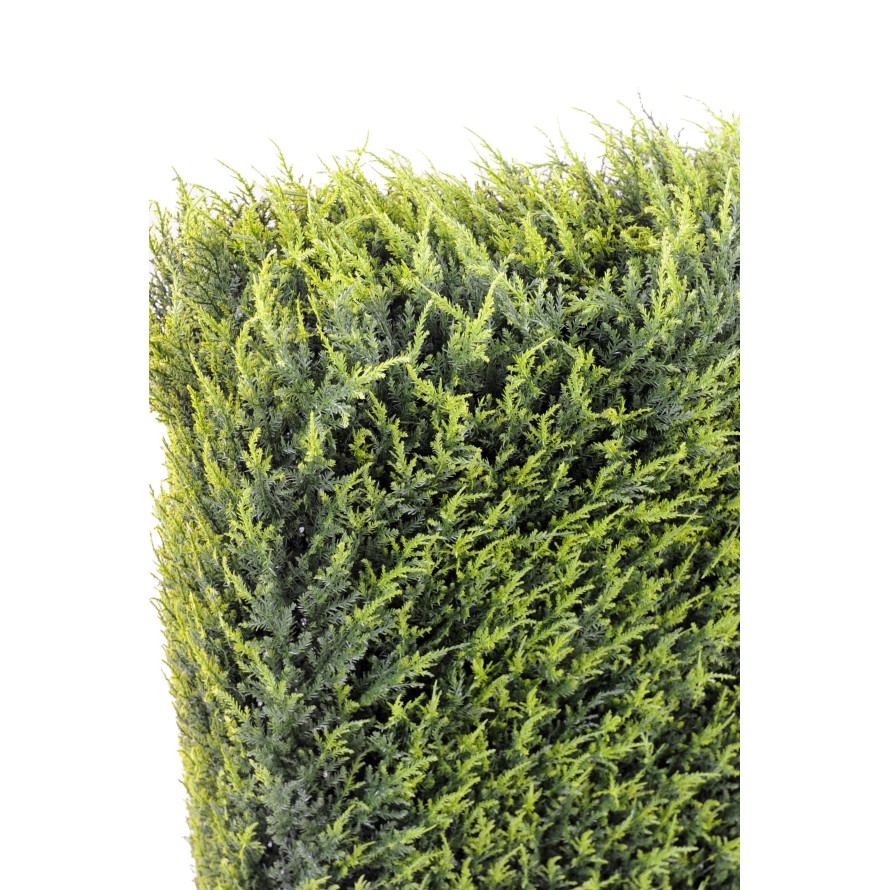 CYPRESS JUNIPERUS HEDGE METAL STRUCTURE