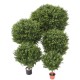 BOXWOOD BALL RED DAY UV