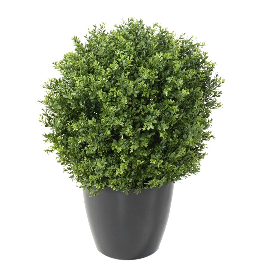 BOXWOOD BALL RED DAY UV