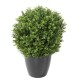 BOXWOOD BALL RED DAY UV