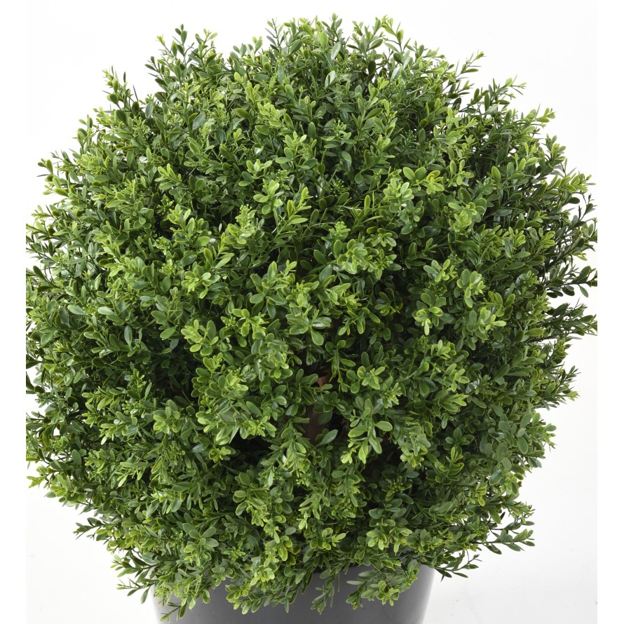 BOXWOOD BALL RED DAY UV