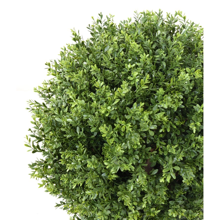 BOXWOOD BALL RED DAY UV