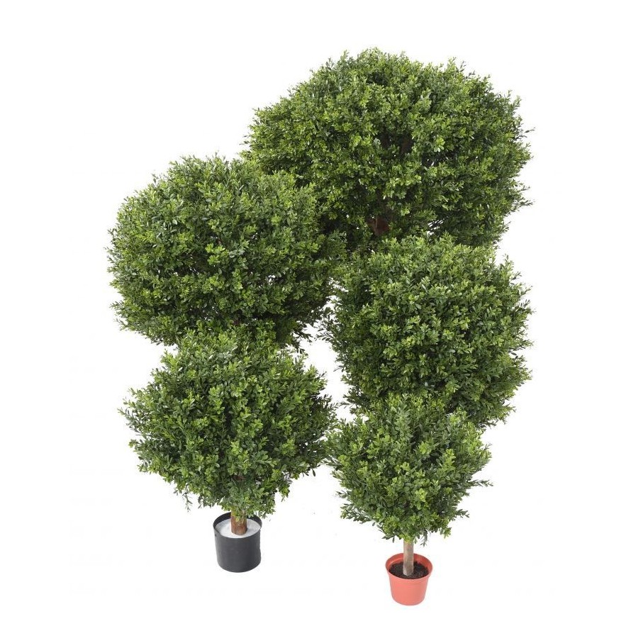 BOXWOOD BALL RED DAY UV