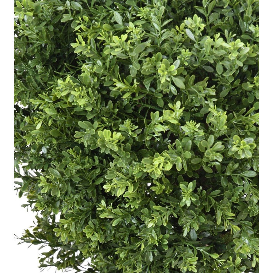 BOXWOOD BALL RED DAY UV