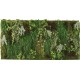 GREEN CASCADE PLANT WALL